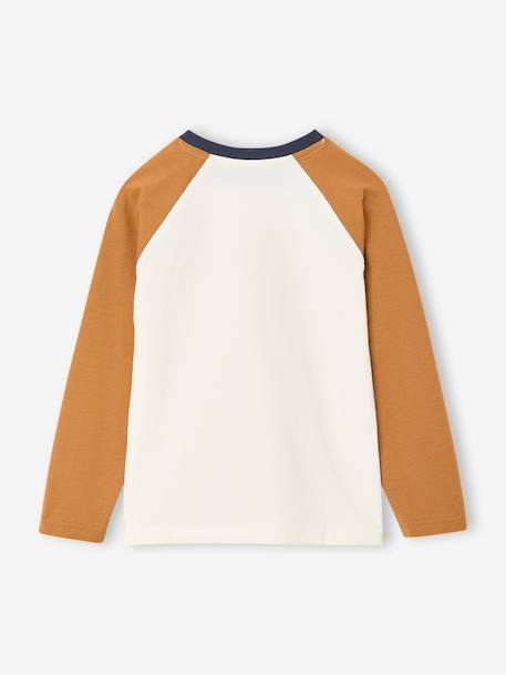 T-shirt manches longues garçon bordeaux+ocre+vert sauge 9 - vertbaudet enfant 