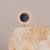 Hochet sensoriel donut miroir Miroir 6 - vertbaudet enfant 