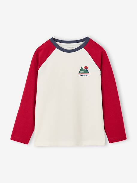 T-shirt manches longues garçon bordeaux+ocre+vert sauge 3 - vertbaudet enfant 