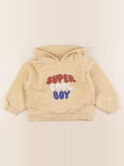 Seconde main-Garçon-Sweat - 24 mois
