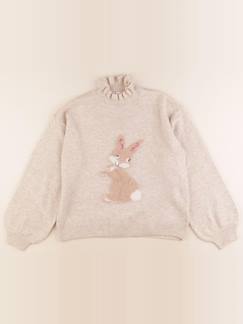 Seconde main-Fille-Pull - 12 ans