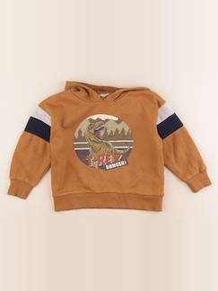 Seconde main-Garçon-Sweat - 5 ans