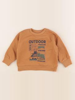 Seconde main-Garçon-Sweat - 3 ans