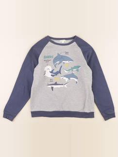 Seconde main-Garçon-Sweat - 12 ans