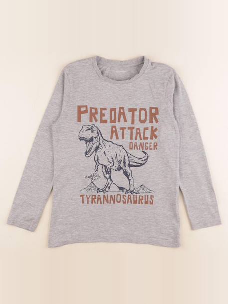 Tee-shirt - 10 ans Gris 1 - vertbaudet enfant 
