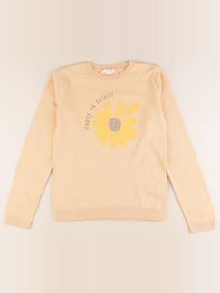 Seconde main-Fille-Pull - 10 ans