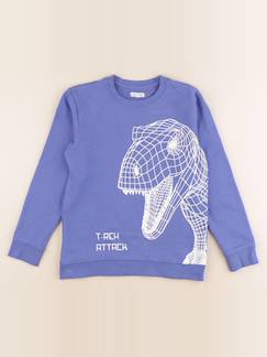Seconde main-Garçon-Sweat - 10 ans