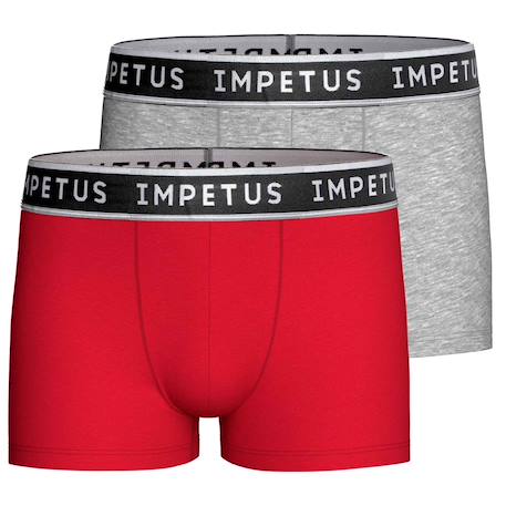 Garçon-Sous-vêtement-Slip, Boxer-Lot de 2 boxers garçon coton confortable respirant