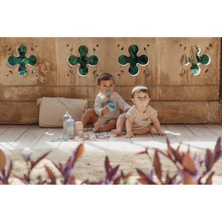 Sucette silicone butterfly sx pro wonderland Lapin beige+Lapin bleu+Lapin rose 7 - vertbaudet enfant 