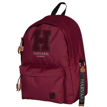 Sac à dos cmp harvard university 42 cm avec compartiment ordinateur Noir / bordeaux 2 - vertbaudet enfant 