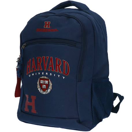 Sac à dos garçon forme borne en polyester cmp harvard university Bleu marine 2 - vertbaudet enfant 