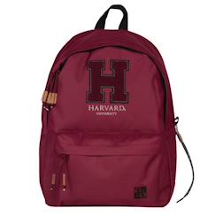 Sac à dos cmp harvard university 42 cm avec compartiment ordinateur  - vertbaudet enfant