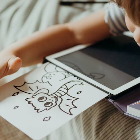 Recharge kidydraw mini 60 cartes il était une fois et animaux Orange - Il était une fois et animaux 2 - vertbaudet enfant 