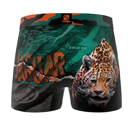 Lot de 4 boxers  wild animals Marron/jaune/noir/vert/noir 6 - vertbaudet enfant 