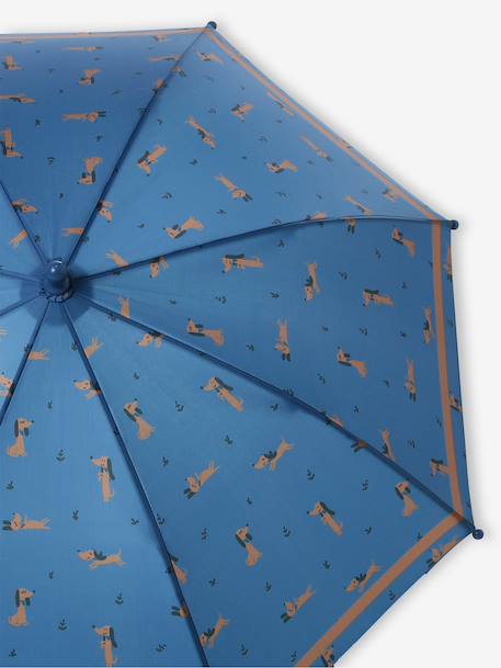 Parapluie motifs dinosaures garçon bleu+marine+vert sapin 2 - vertbaudet enfant 