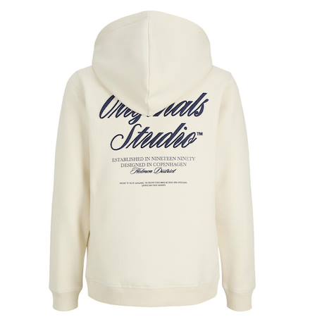 Sweat à capuche garçon orrebro typo Blanc+Bleu 2 - vertbaudet enfant 