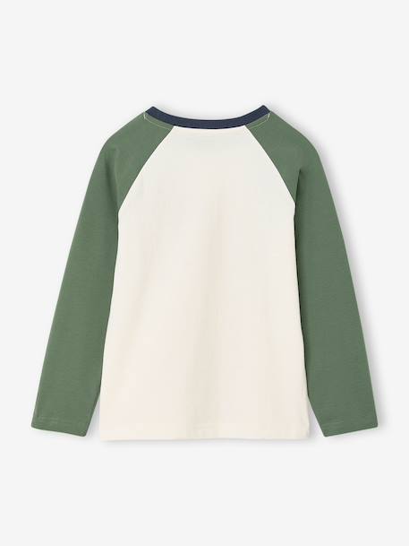 T-shirt manches longues garçon bordeaux+ocre+vert sauge 12 - vertbaudet enfant 