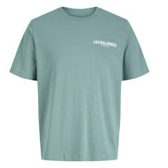 Garçon-T-shirt, polo, sous-pull-T-shirt-T-shirt manches courtes garçon blaoscar