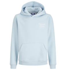 Sweat à capuche garçon orrebro typo  - vertbaudet enfant