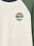 T-shirt manches longues garçon bordeaux+ocre+vert sauge 13 - vertbaudet enfant 
