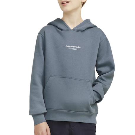 Garçon-Pull, gilet, sweat-Sweat à capuche garçon vesterbro