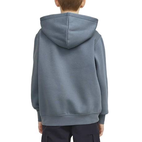 Sweat à capuche garçon vesterbro Bleu 2 - vertbaudet enfant 
