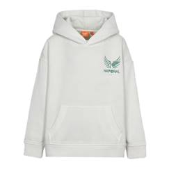 Sweat garçon okido  - vertbaudet enfant