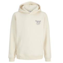 Sweat à capuche garçon orrebro typo  - vertbaudet enfant