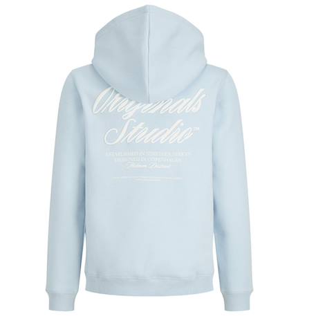 Sweat à capuche garçon orrebro typo Blanc+Bleu 4 - vertbaudet enfant 