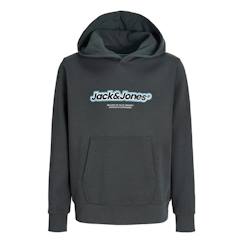 Sweat à capuche garçon newton branding  - vertbaudet enfant