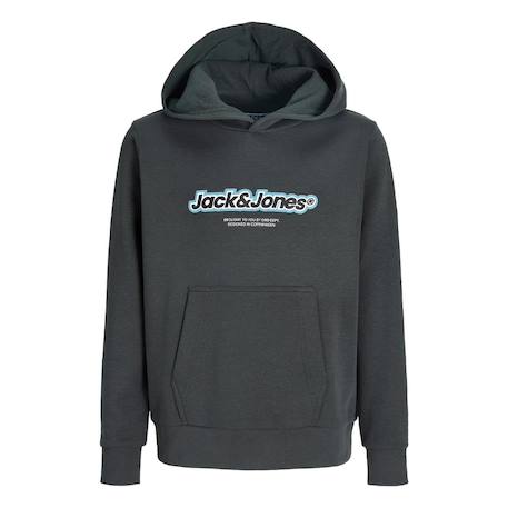 Sweat à capuche garçon newton branding Gris 1 - vertbaudet enfant 