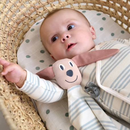 Doudou plat animalier Beige+Lila+Vert 18 - vertbaudet enfant 