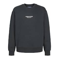 Sweat garçon esterbro  - vertbaudet enfant