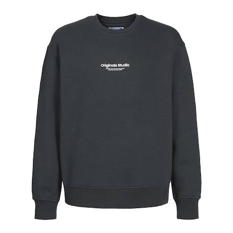 Sweat garçon esterbro Gris 1 - vertbaudet enfant 