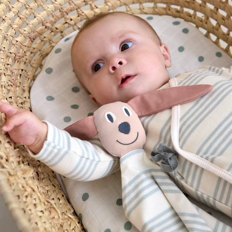 Doudou plat animalier Beige+Lila+Vert 12 - vertbaudet enfant 