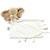Doudou câlin fanfan l'éléphant blanc crème (27 cm) Beige, blanc 1 - vertbaudet enfant 