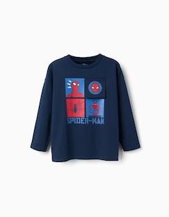 Garçon-T-shirt, polo, sous-pull-T-shirt en coton à manches longues et imprimé spider-man