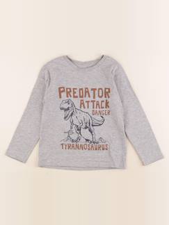 Tee-shirt - 5 ans  - vertbaudet enfant