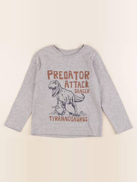 Tee-shirt - 5 ans Gris 1 - vertbaudet enfant 