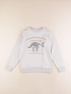Sweat - 10 ans  - vertbaudet enfant