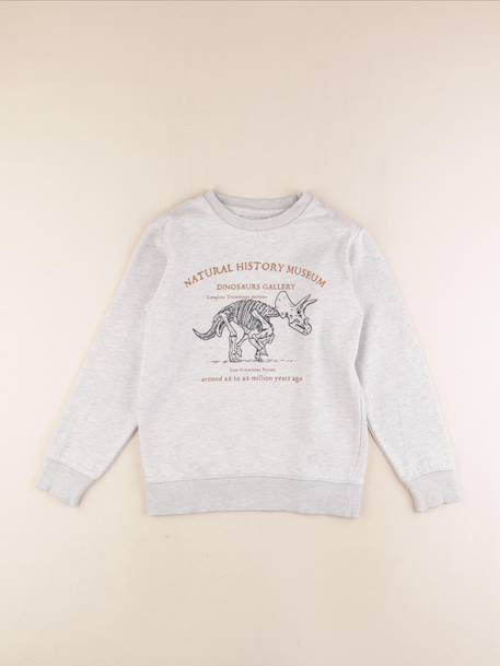 Sweat - 10 ans Gris 1 - vertbaudet enfant 