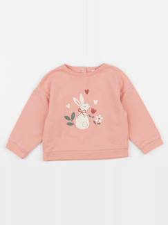 Seconde main-Fille-Pull, gilet, sweat-Sweat - 24 mois