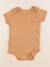 Body - 36 mois Marron 1 - vertbaudet enfant 