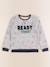 Sweat - 8 ans Gris 1 - vertbaudet enfant 
