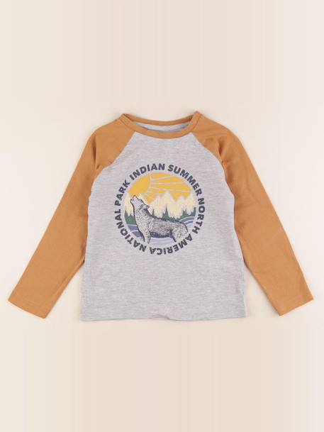 Tee-shirt - 6 ans Gris, marron 1 - vertbaudet enfant 