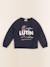 Sweat - 5 ans Bleu 1 - vertbaudet enfant 