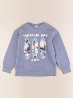 Sweat - 10 ans  - vertbaudet enfant
