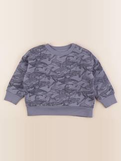 Sweat - 3 ans  - vertbaudet enfant