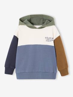 -Sweat à capuche colorblock garçon