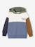 Sweat à capuche colorblock garçon multicolore+noisette 7 - vertbaudet enfant 